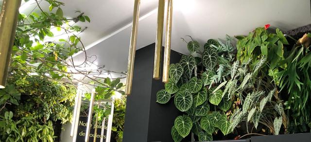 large_verticalgardenandlianasclimbingalongcablesunderthefluorescentlightceilingyvesrocherconceptsto.jpeg