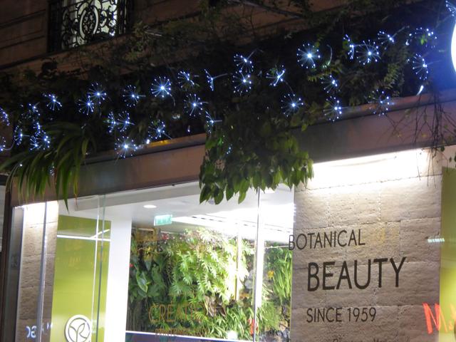 large_P1020317.JPG